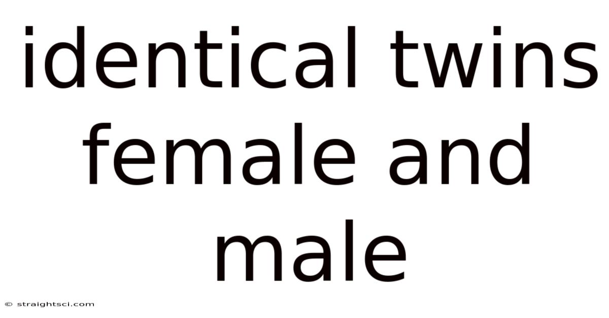 Identical Twins Female And Male