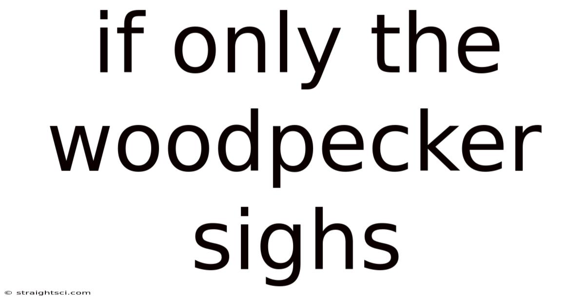 If Only The Woodpecker Sighs