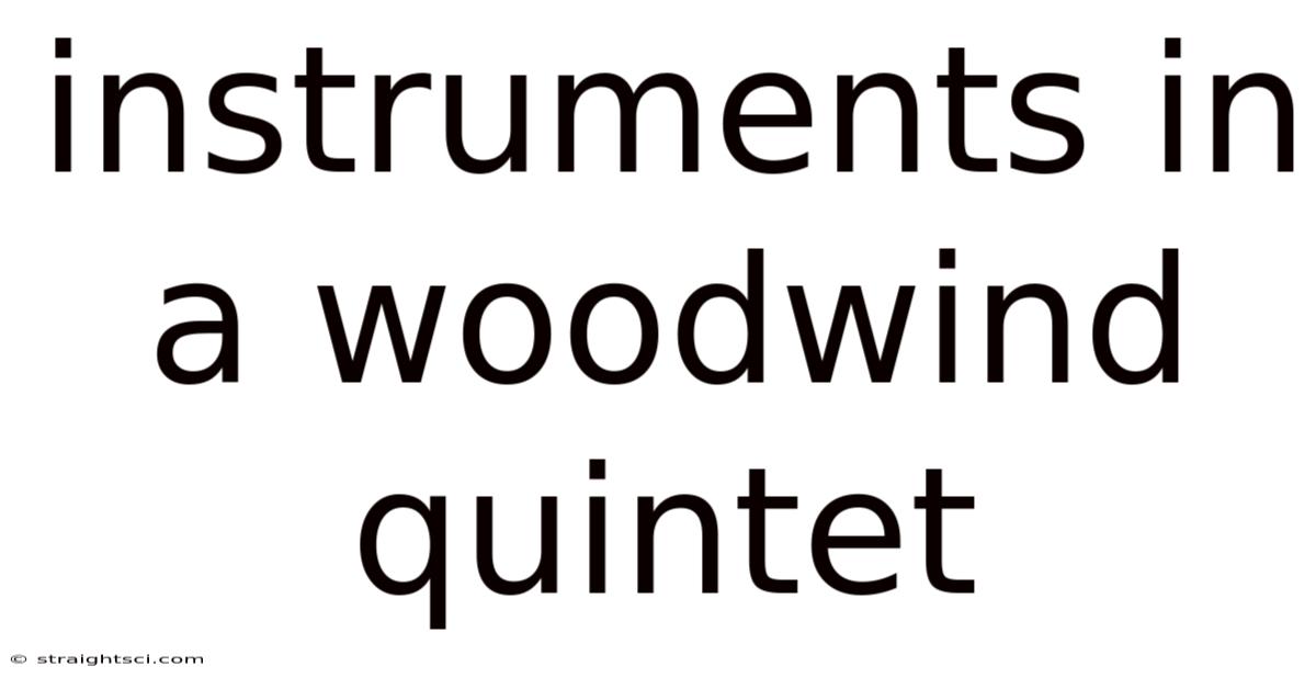 Instruments In A Woodwind Quintet