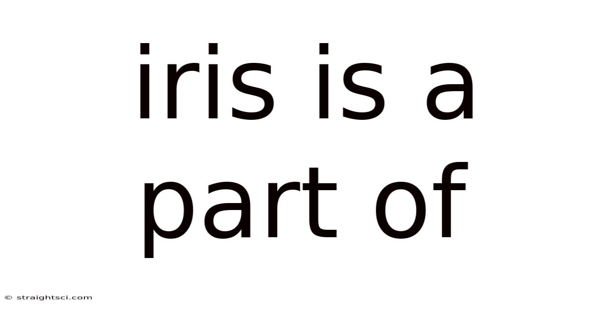 Iris Is A Part Of