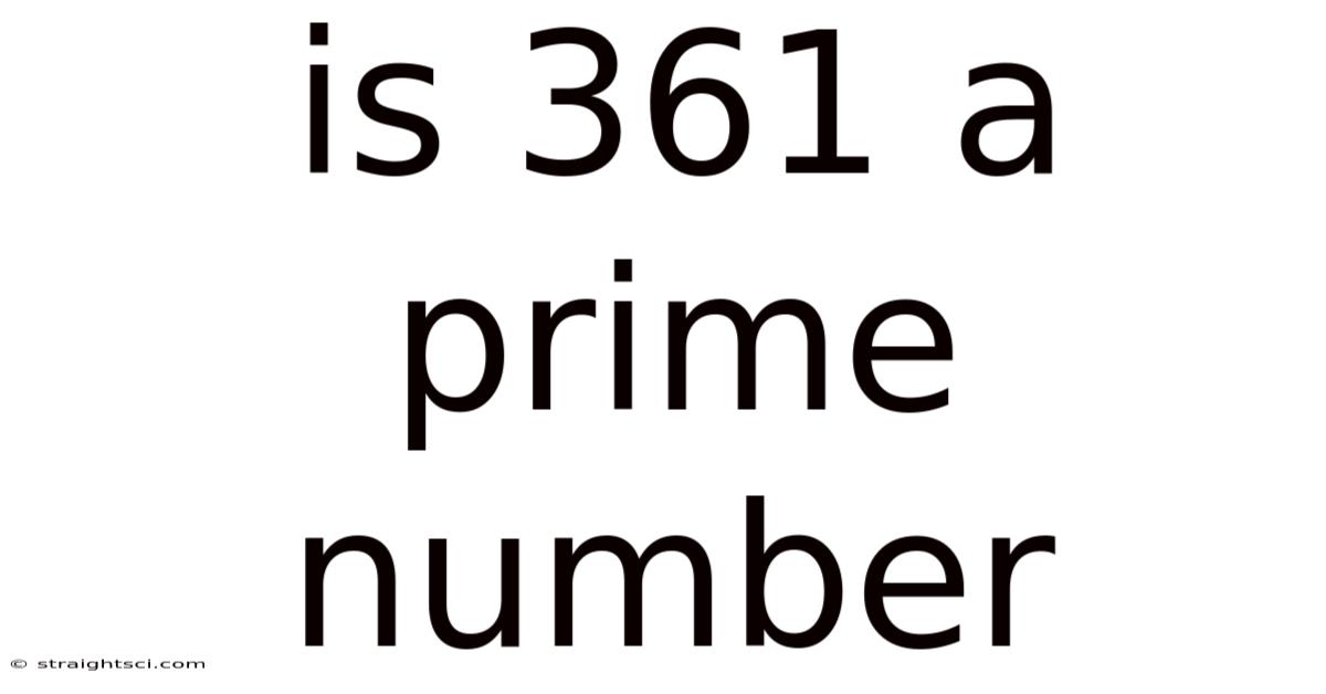 Is 361 A Prime Number