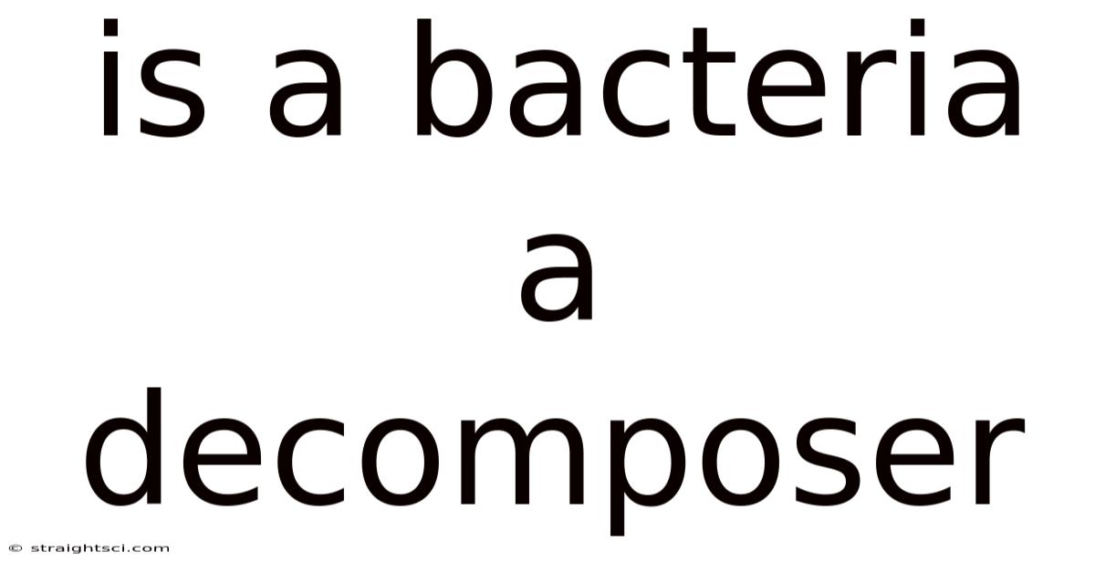 Is A Bacteria A Decomposer
