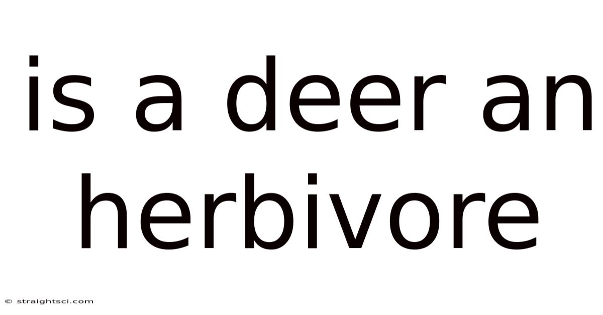 Is A Deer An Herbivore
