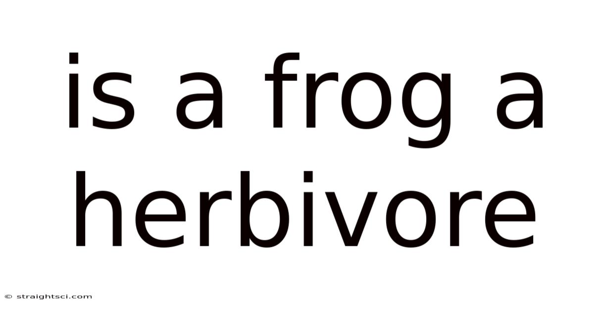 Is A Frog A Herbivore