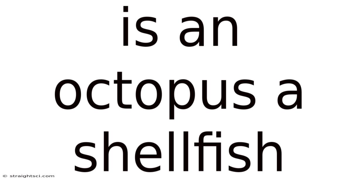 Is An Octopus A Shellfish