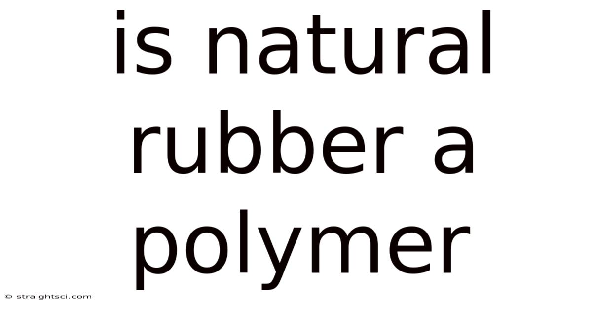 Is Natural Rubber A Polymer