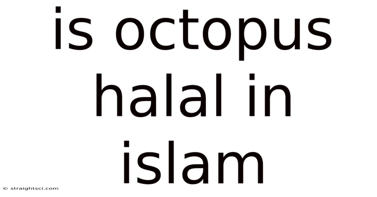 Is Octopus Halal In Islam