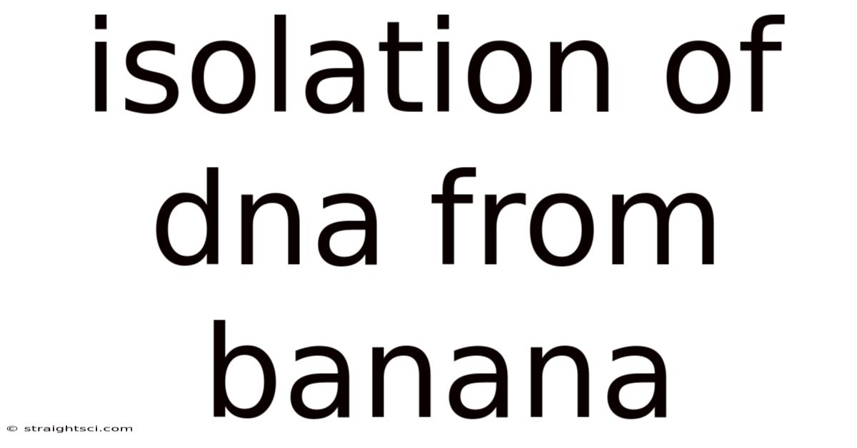Isolation Of Dna From Banana