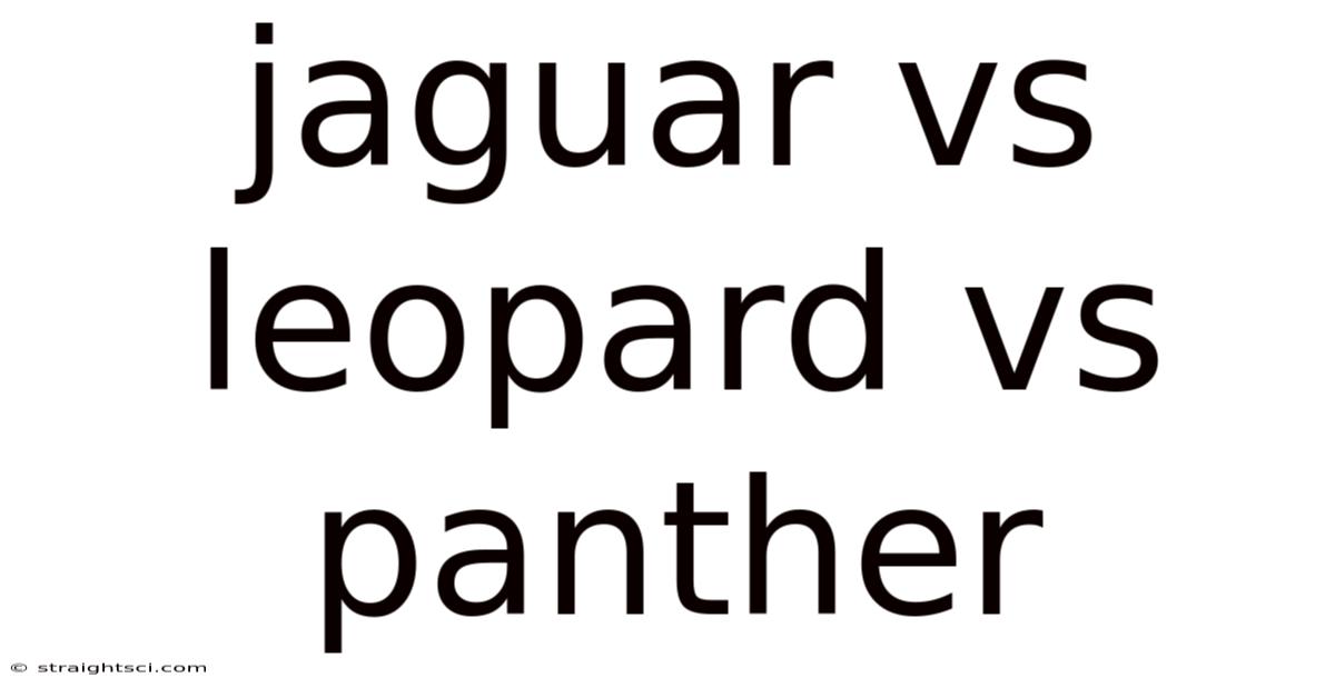Jaguar Vs Leopard Vs Panther