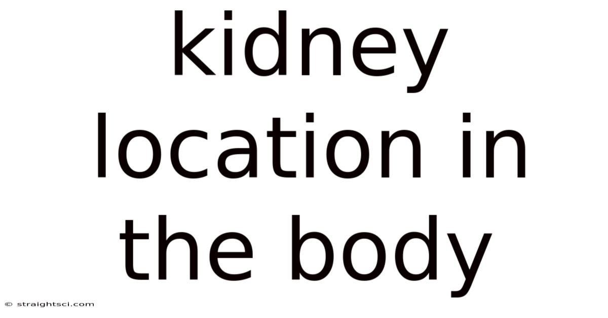Kidney Location In The Body