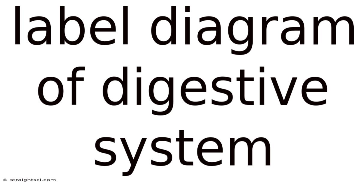 Label Diagram Of Digestive System