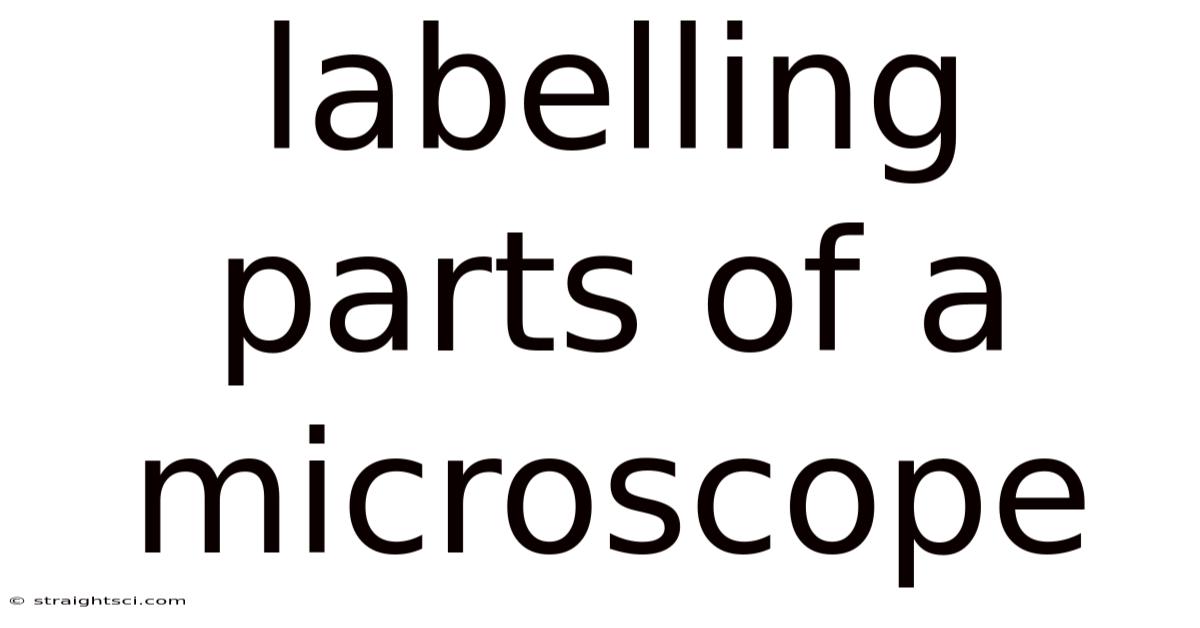 Labelling Parts Of A Microscope