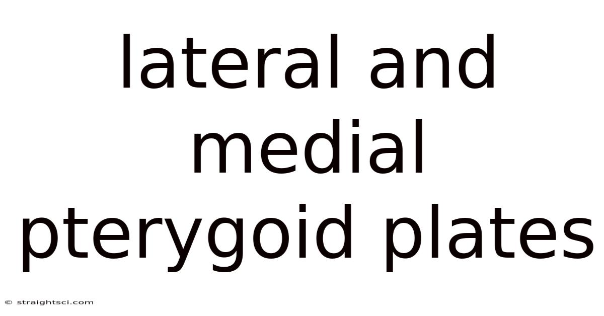 Lateral And Medial Pterygoid Plates