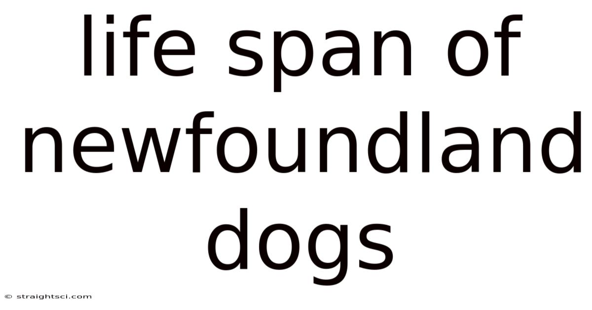Life Span Of Newfoundland Dogs