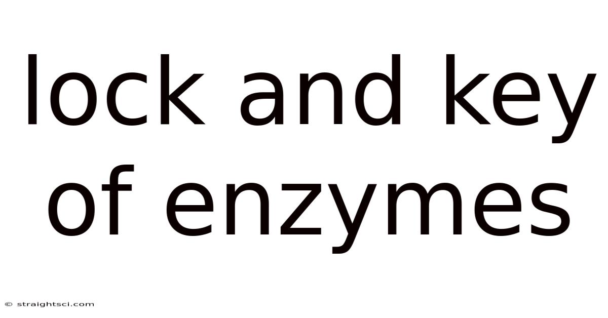 Lock And Key Of Enzymes