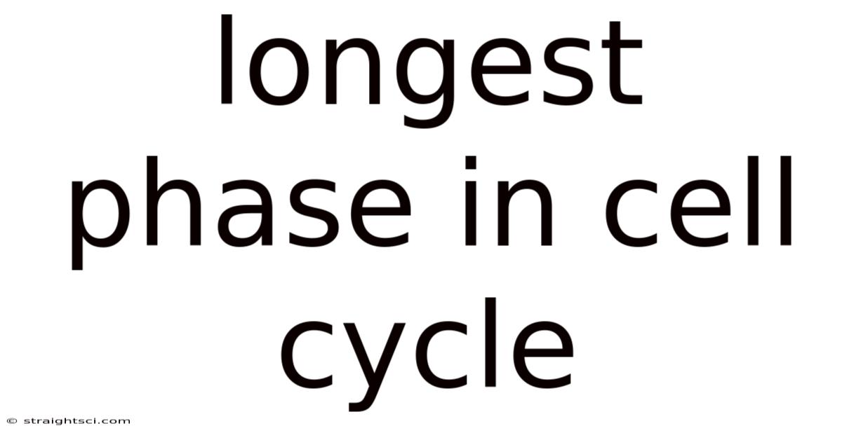 Longest Phase In Cell Cycle