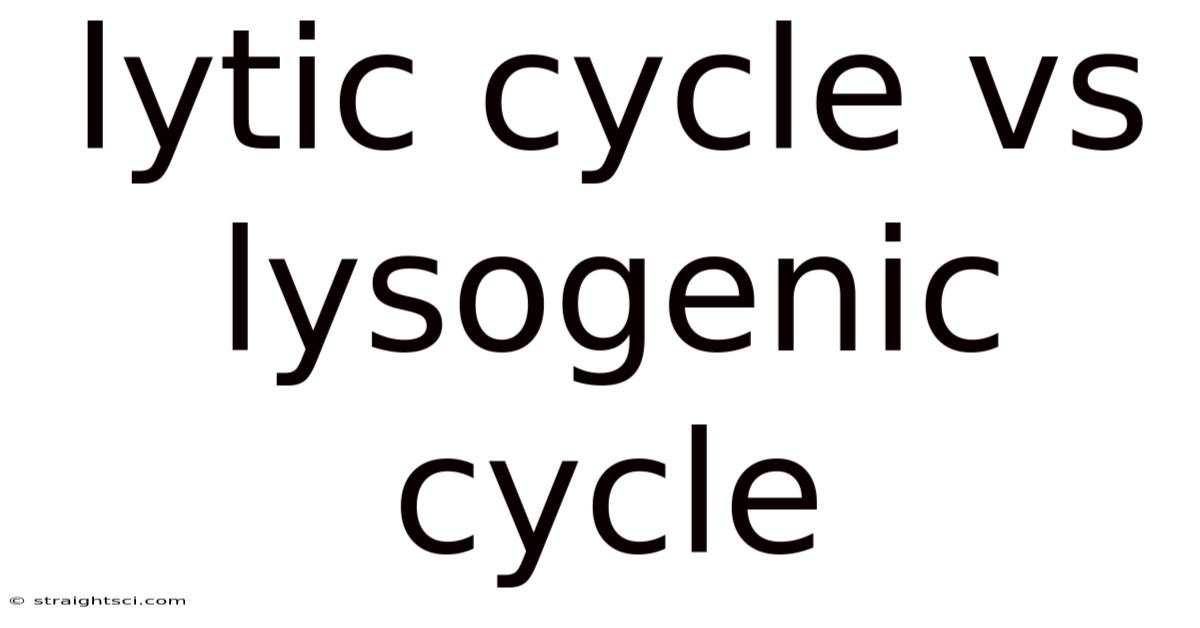Lytic Cycle Vs Lysogenic Cycle