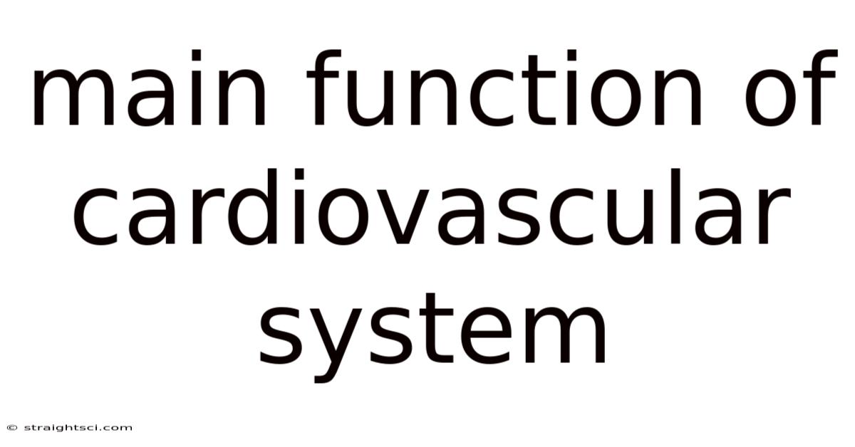 Main Function Of Cardiovascular System