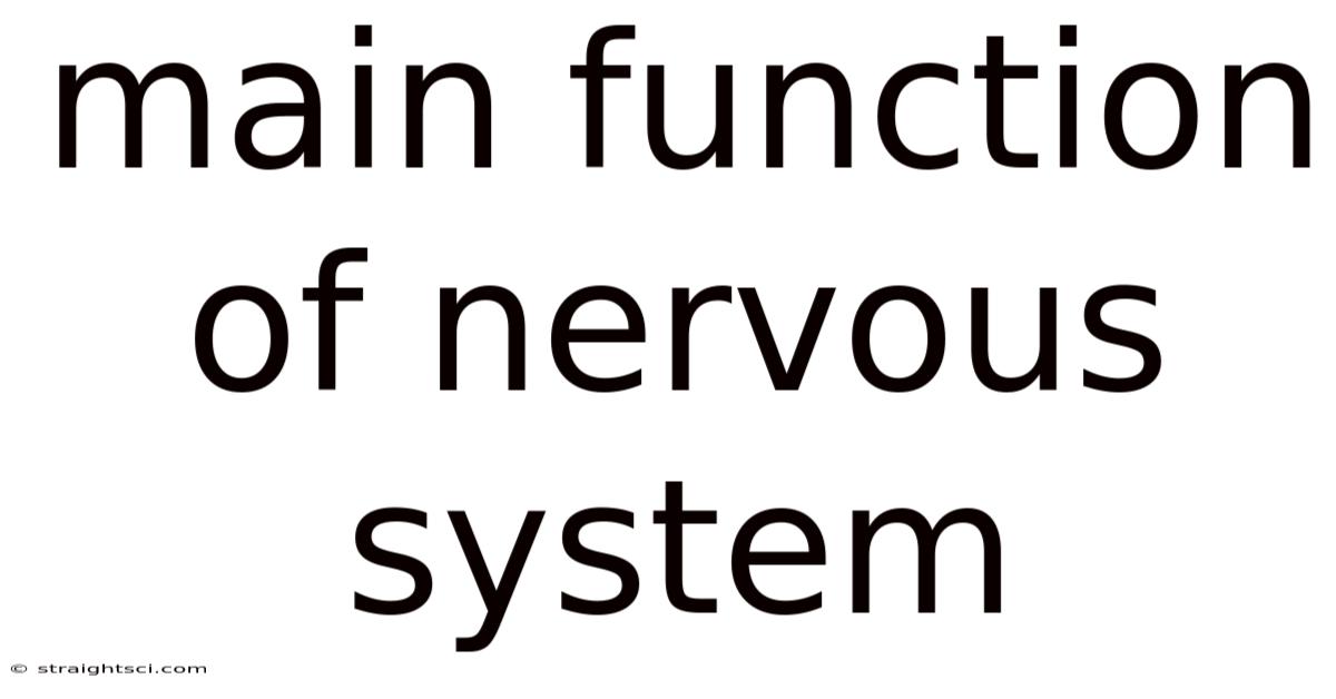 Main Function Of Nervous System