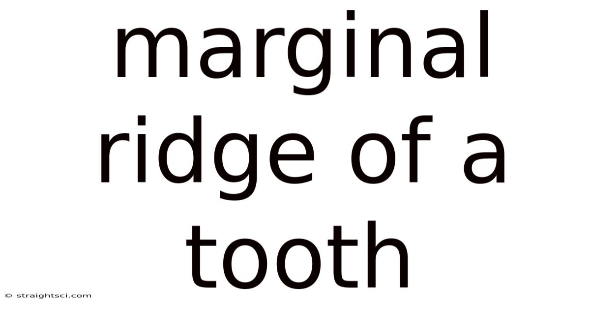 Marginal Ridge Of A Tooth