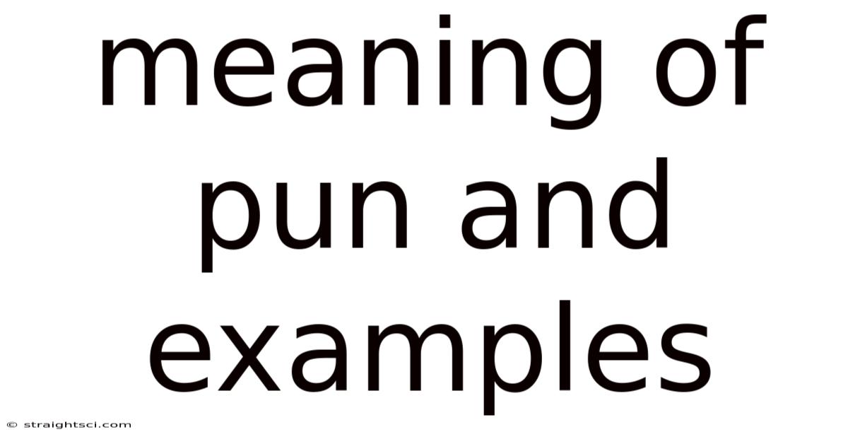 Meaning Of Pun And Examples