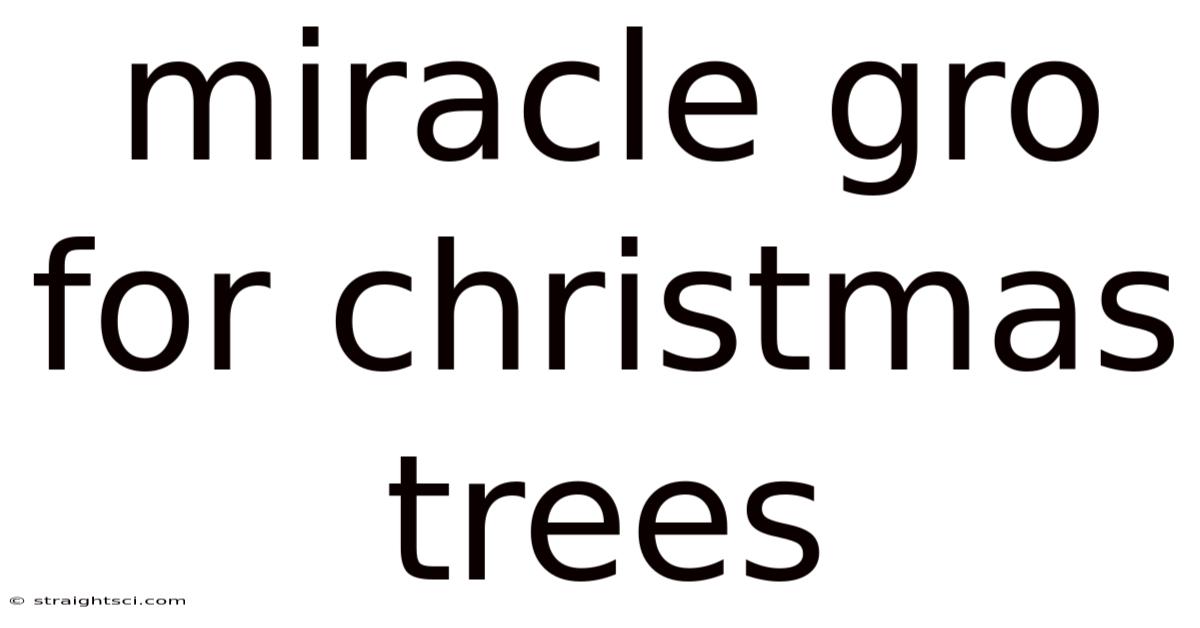 Miracle Gro For Christmas Trees