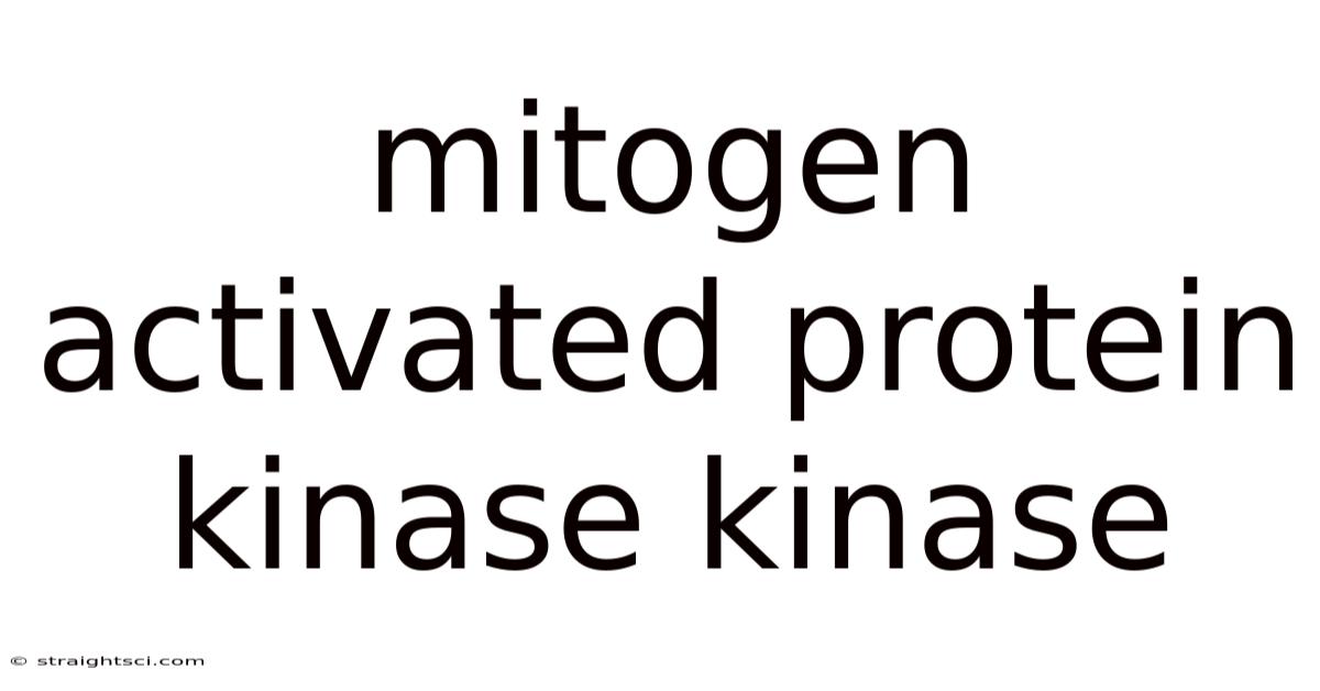 Mitogen Activated Protein Kinase Kinase