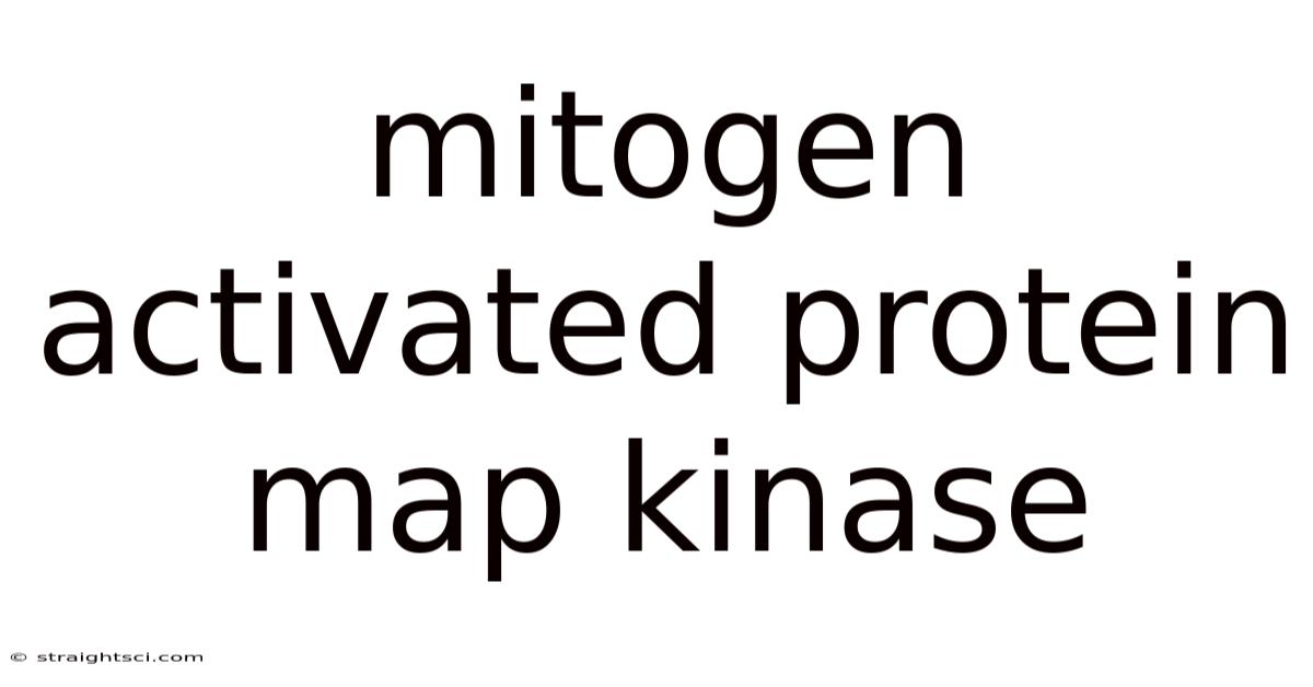 Mitogen Activated Protein Map Kinase