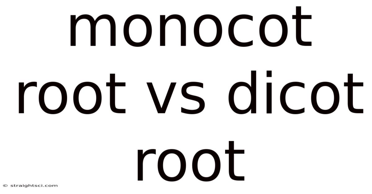 Monocot Root Vs Dicot Root