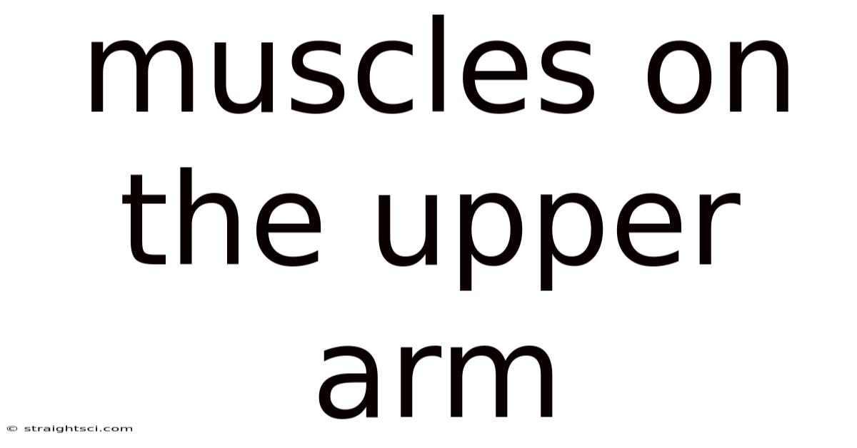 Muscles On The Upper Arm