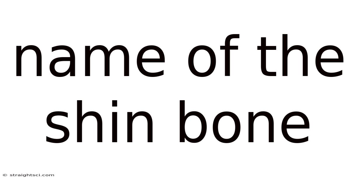 Name Of The Shin Bone