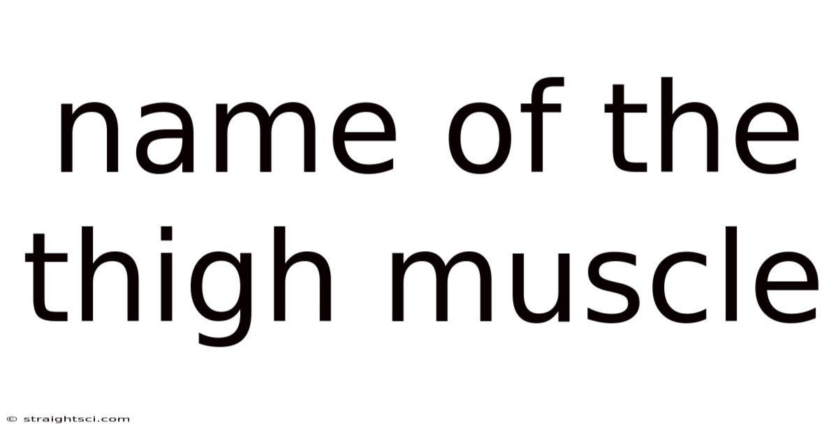 Name Of The Thigh Muscle