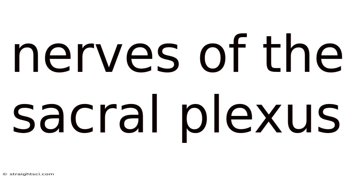 Nerves Of The Sacral Plexus