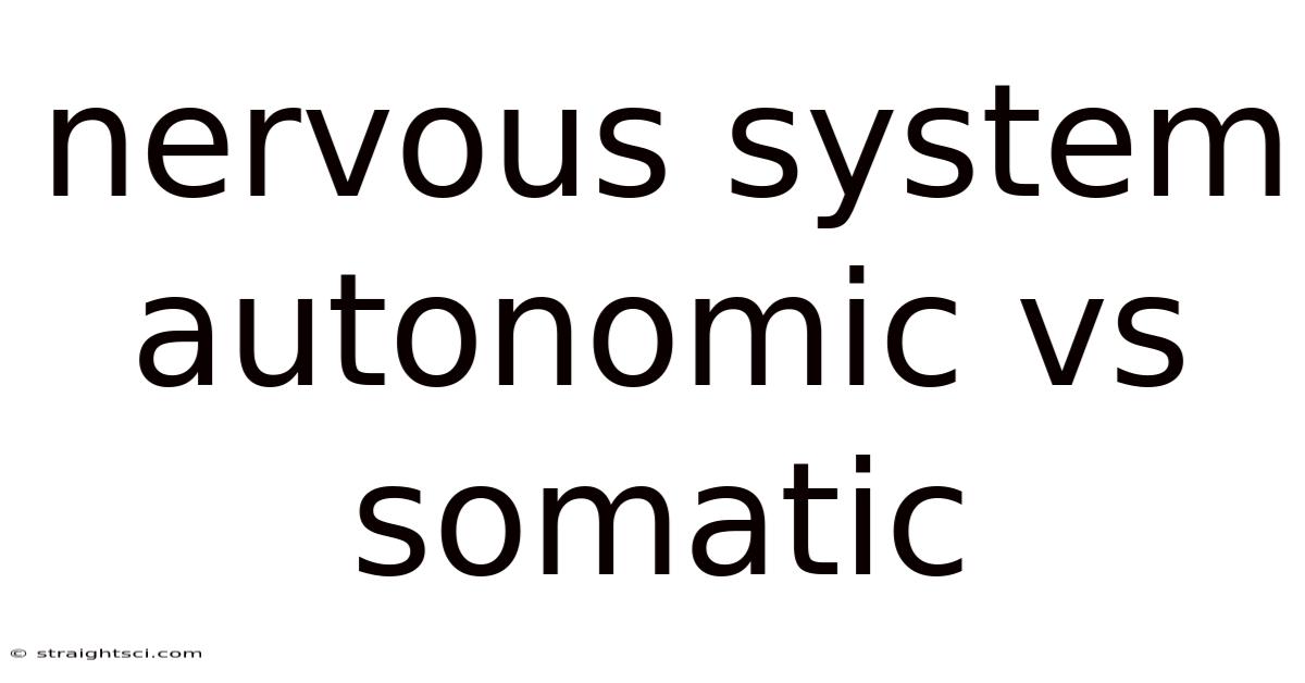 Nervous System Autonomic Vs Somatic
