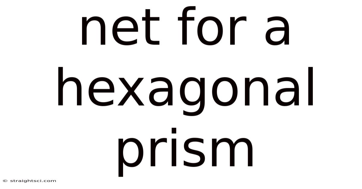 Net For A Hexagonal Prism