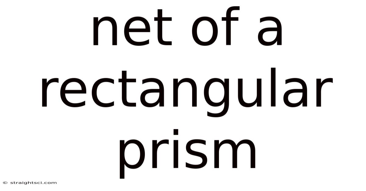 Net Of A Rectangular Prism