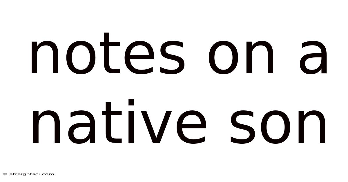 Notes On A Native Son