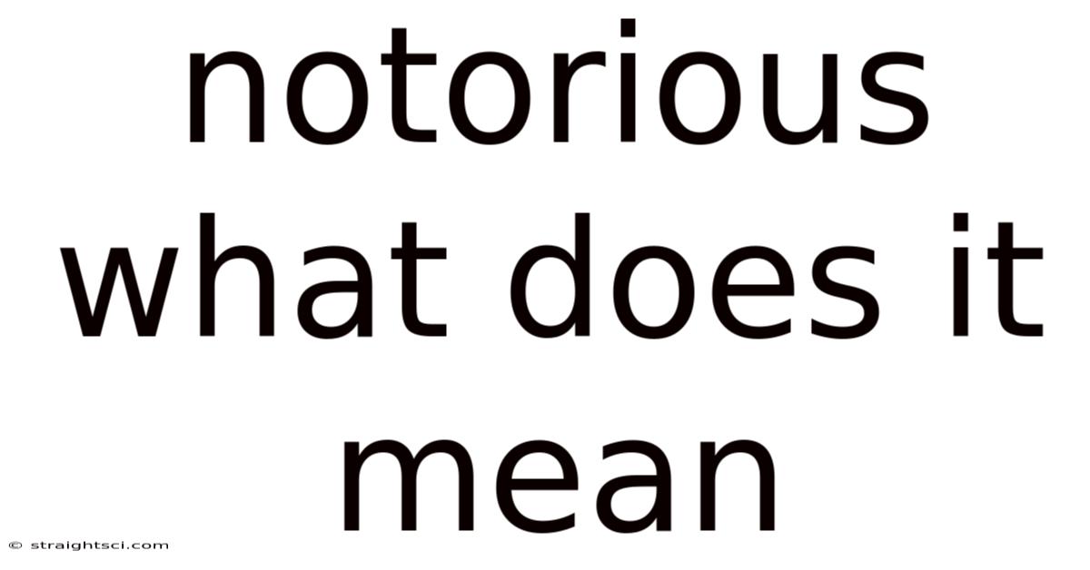 Notorious What Does It Mean