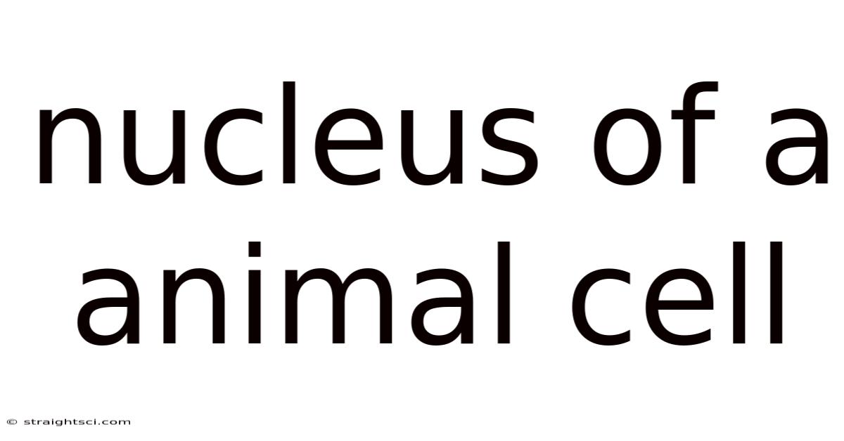 Nucleus Of A Animal Cell