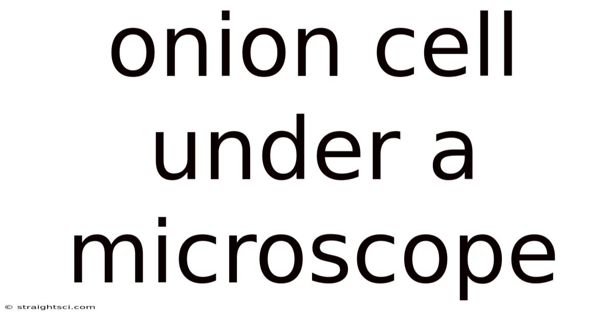 Onion Cell Under A Microscope