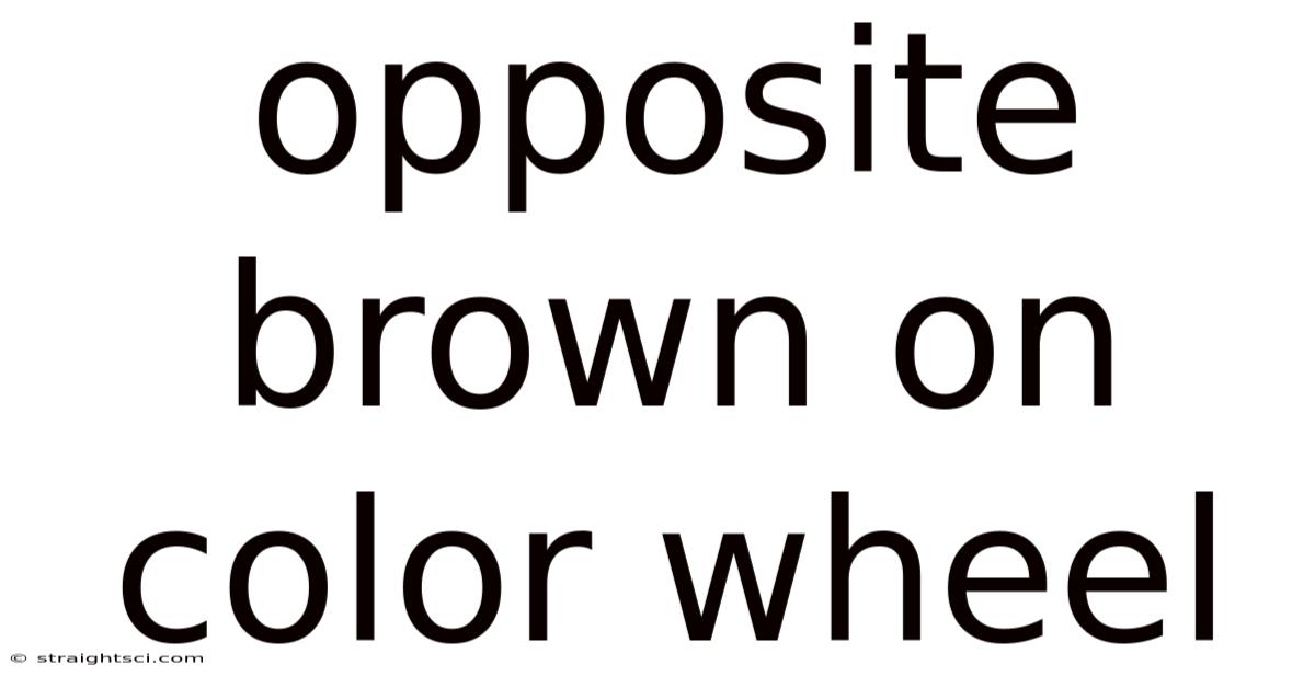 Opposite Brown On Color Wheel