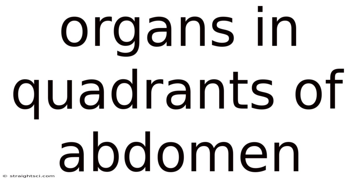 Organs In Quadrants Of Abdomen