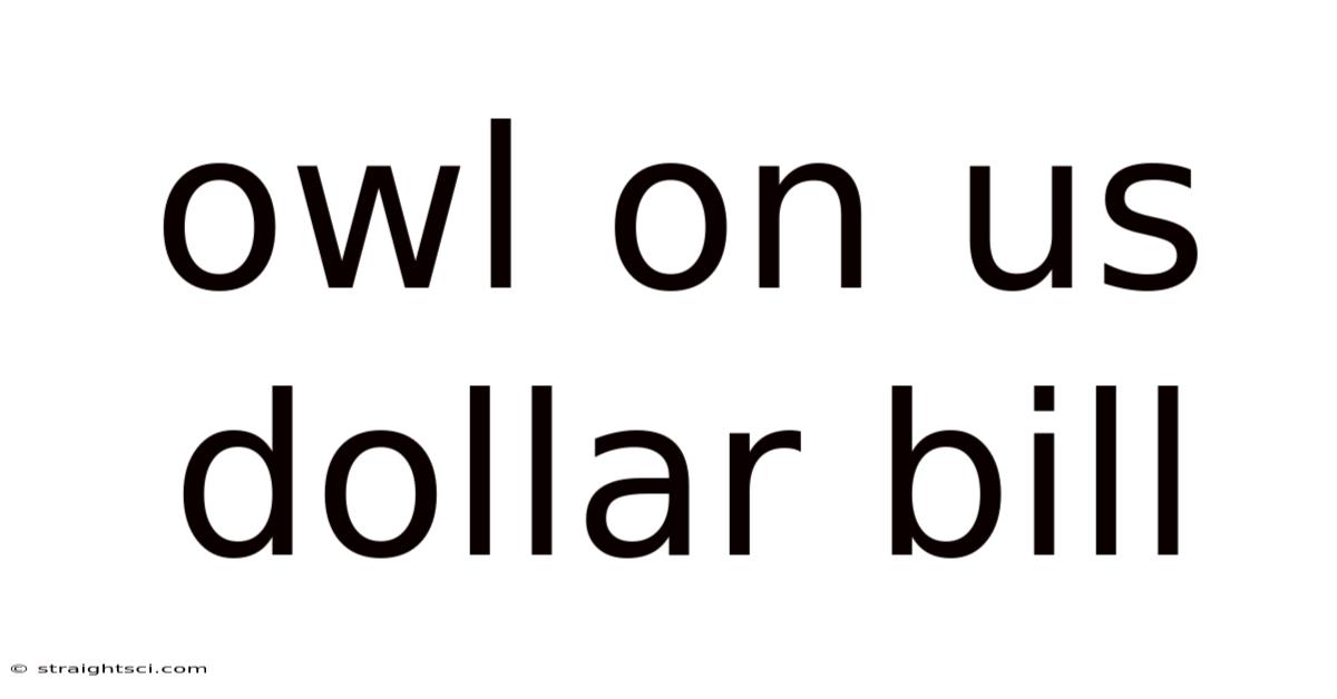 Owl On Us Dollar Bill