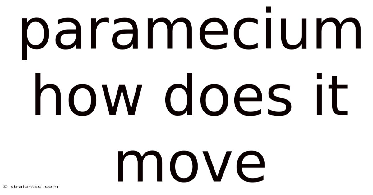 Paramecium How Does It Move