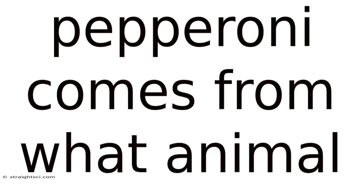 Pepperoni Comes From What Animal