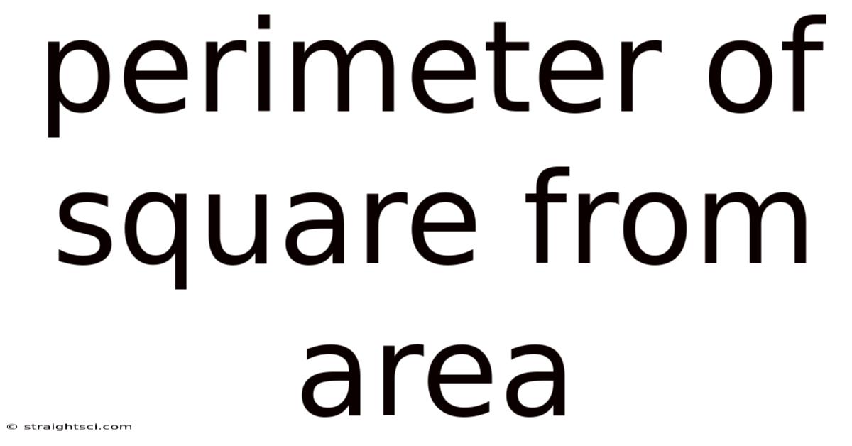Perimeter Of Square From Area