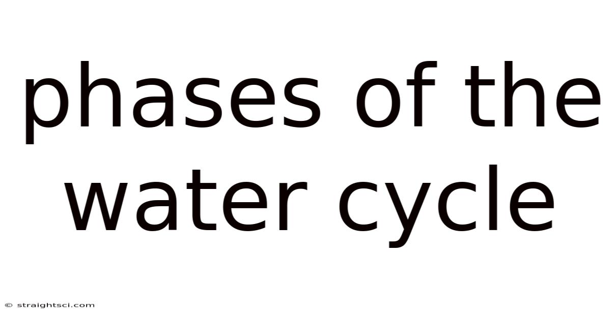 Phases Of The Water Cycle