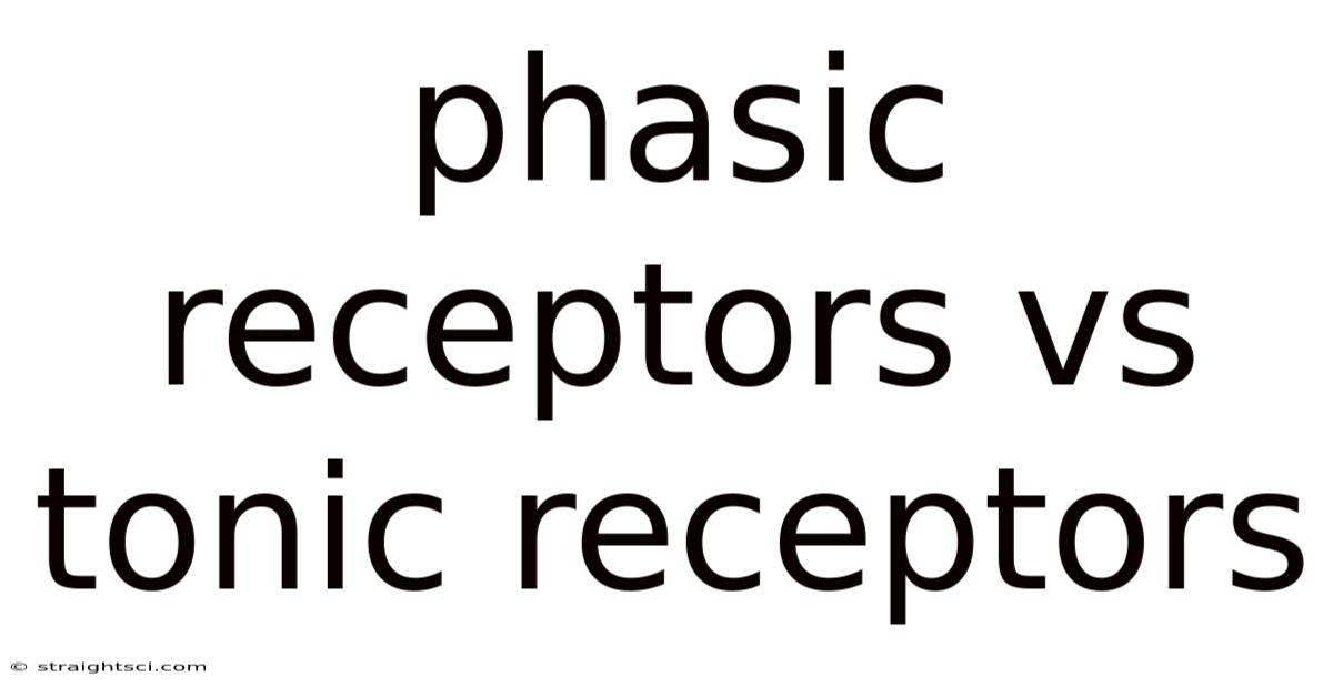 Phasic Receptors Vs Tonic Receptors