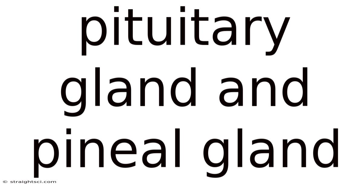 Pituitary Gland And Pineal Gland