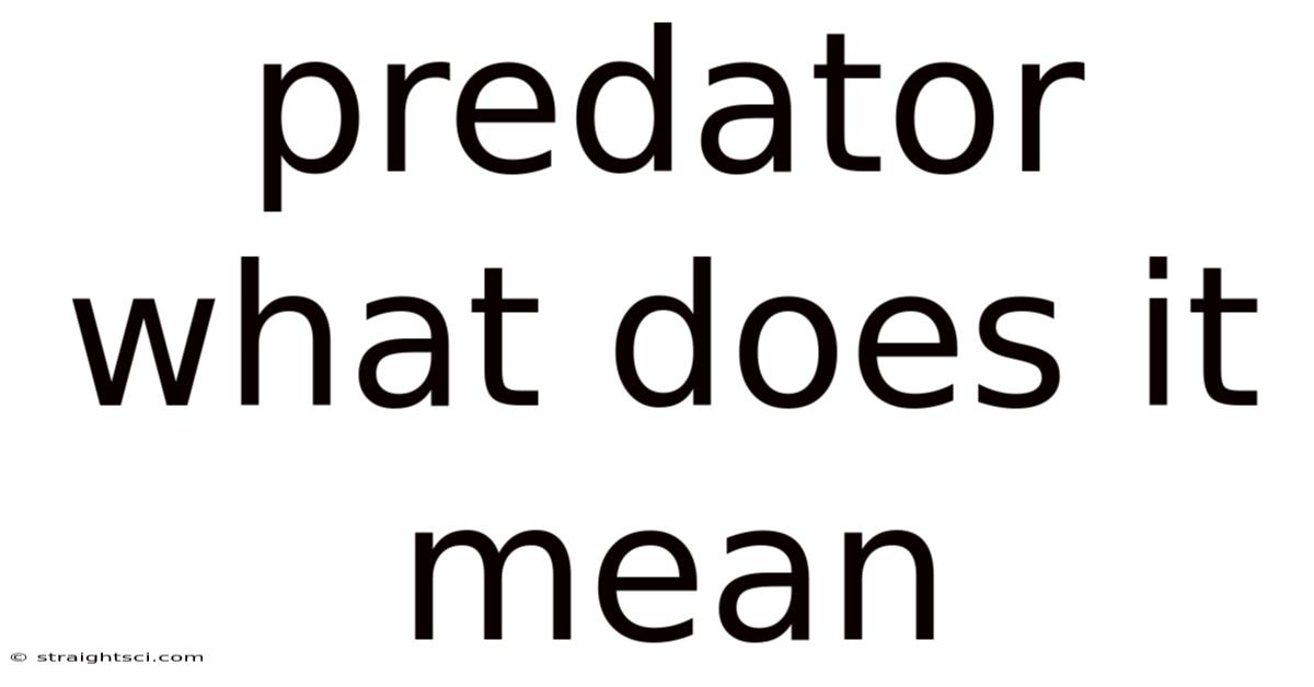 Predator What Does It Mean